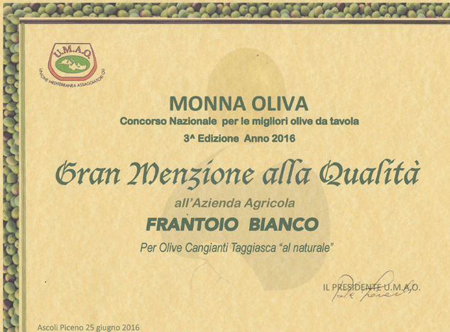 olive taggiasche qualitï¿½ 2016